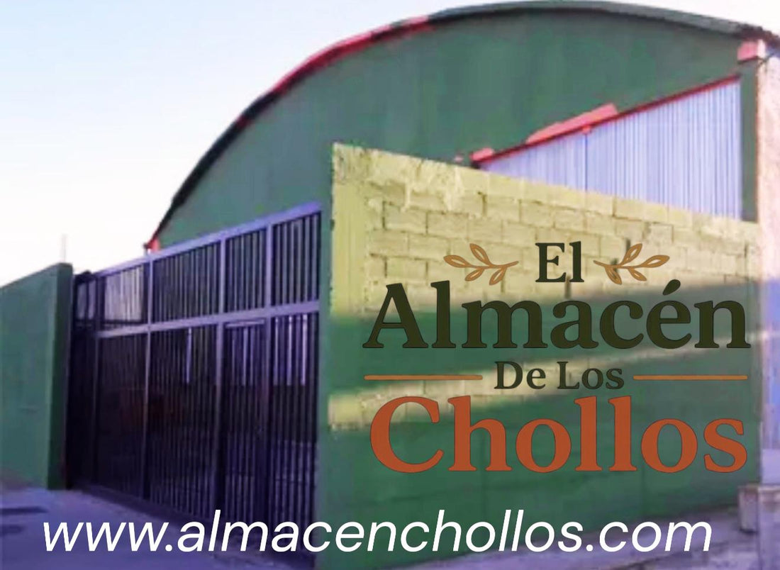 Del salón de casa a nuestro almacén en Navarra: La historia de Almacén de los Chollos